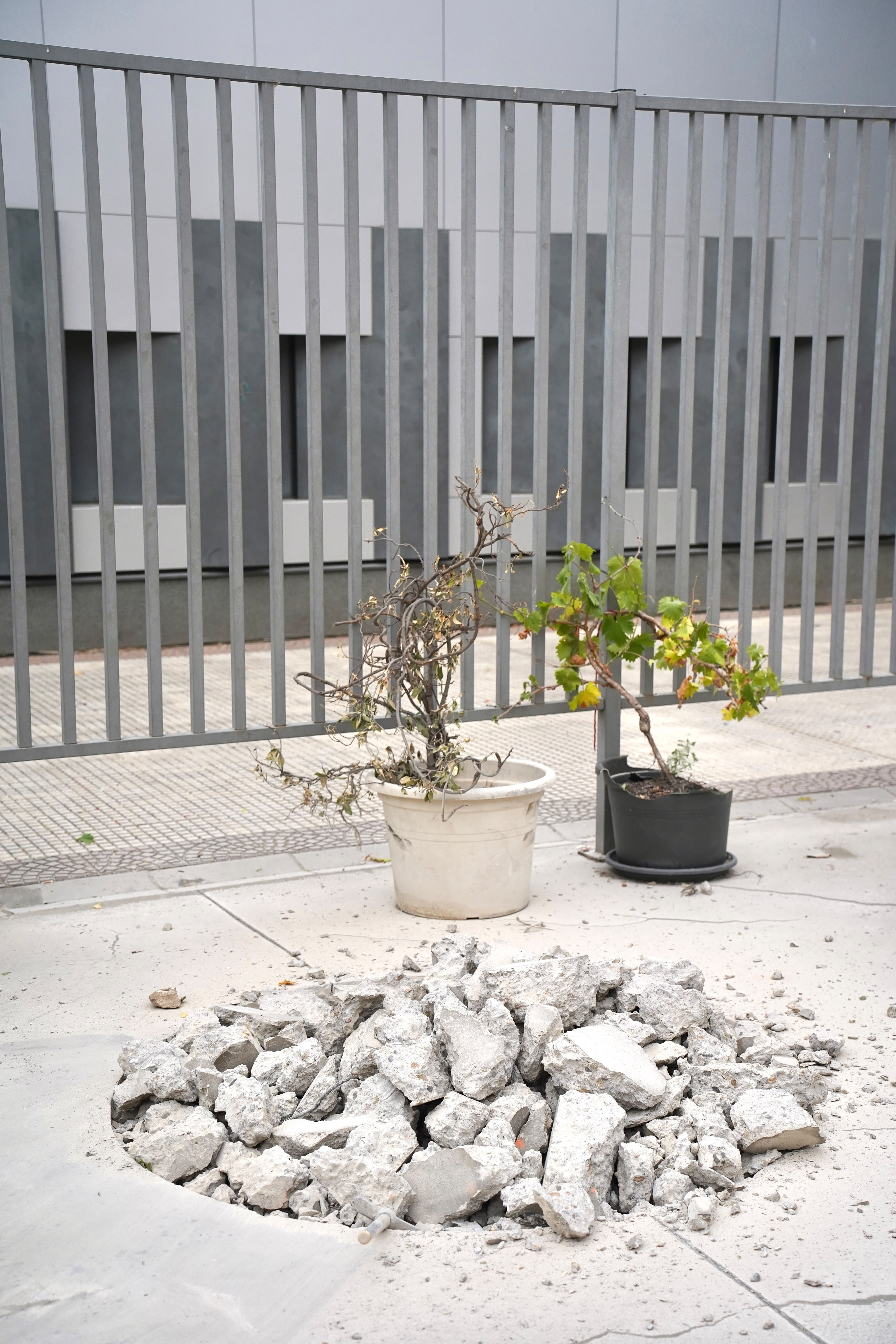 Plaza de los cuentos