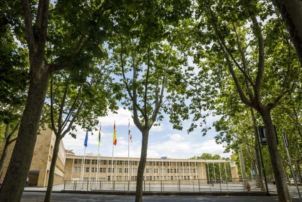 Imagen El Ayuntamiento concederá la ‘Corbata de Honor’ a los cuerpos de Policía Nacional y Guardia Civil en Logroño